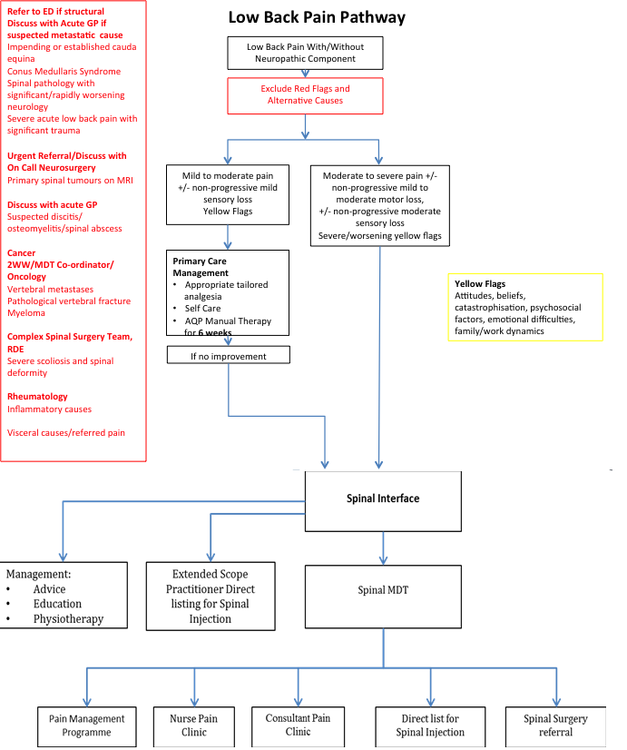 Adult Low Back Pain Guidelines